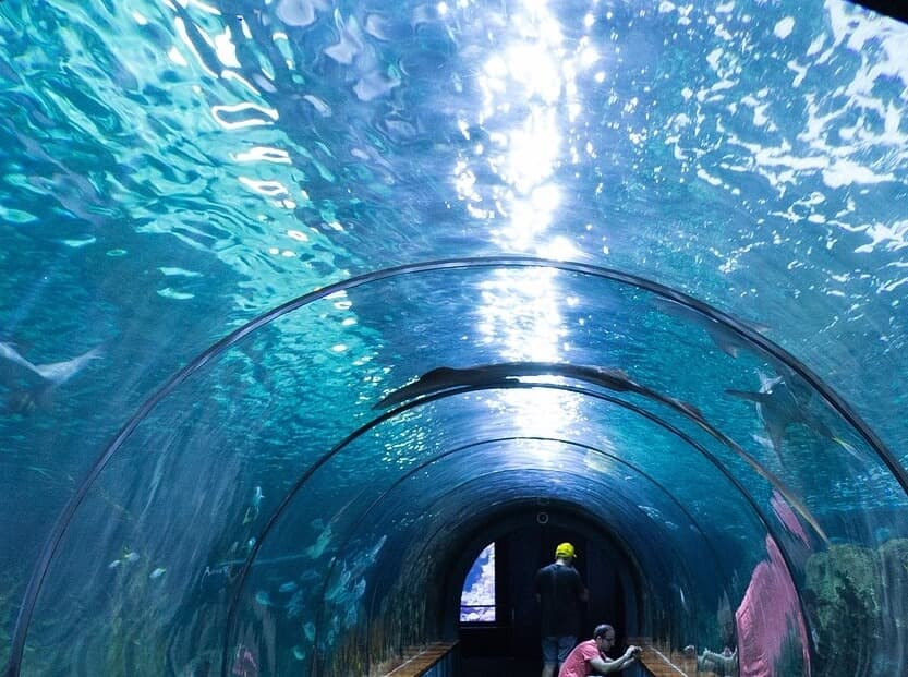 上海海洋水族館