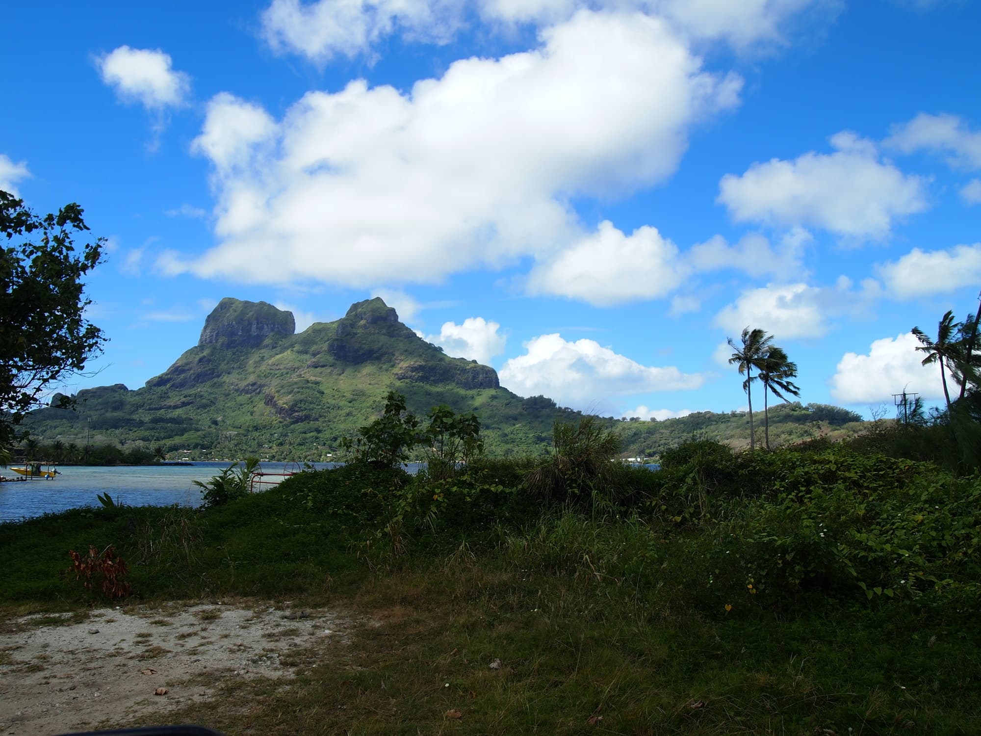 4WDサファリツアー